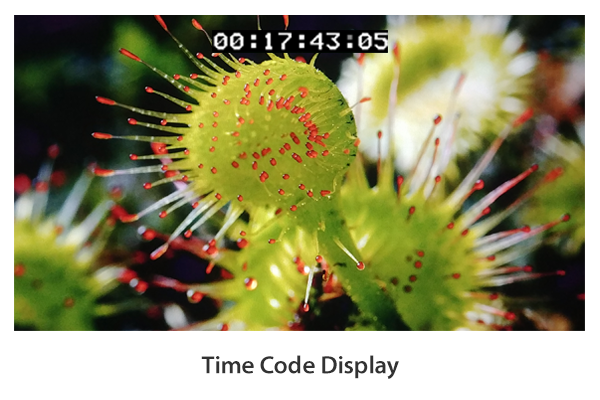 Time Code Display